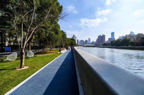 静安区绿化管理中心建设管理科荣获2021年度上海市重点工程实事